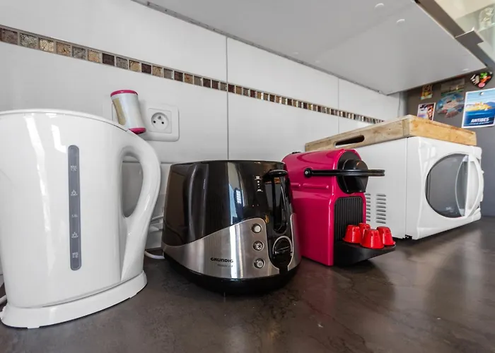 Le Thalassa - Spacious - Sea View - Ac - Parking - Pool Antibes